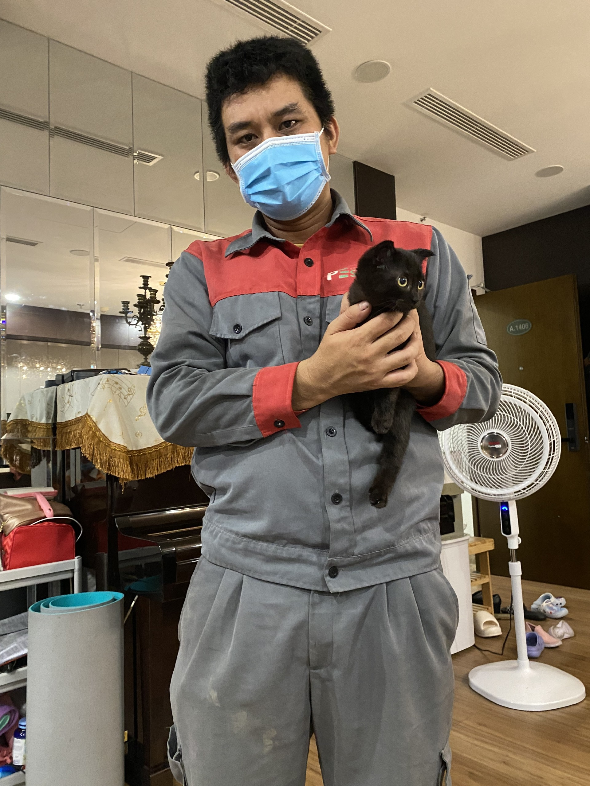 Dịch vụ bắt mèo hoang - Công Ty TNHH Thương Mại Dịch Vụ Kỹ Thuật Hoàng Trang Việt Nam